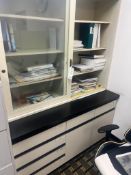 Lab Casework overhead cabinet