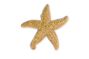 A LARGE YELLOW DIAMOND 'STARFISH' BROOCH