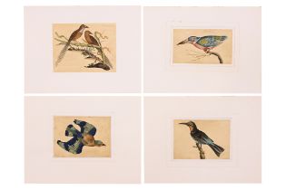 FREDERICK P. NODDER (1751-1800), FOUR PRINTS OF BIRDS
