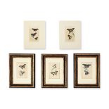 FIVE LITHOGRAPHS WITH BUTTERFLIES