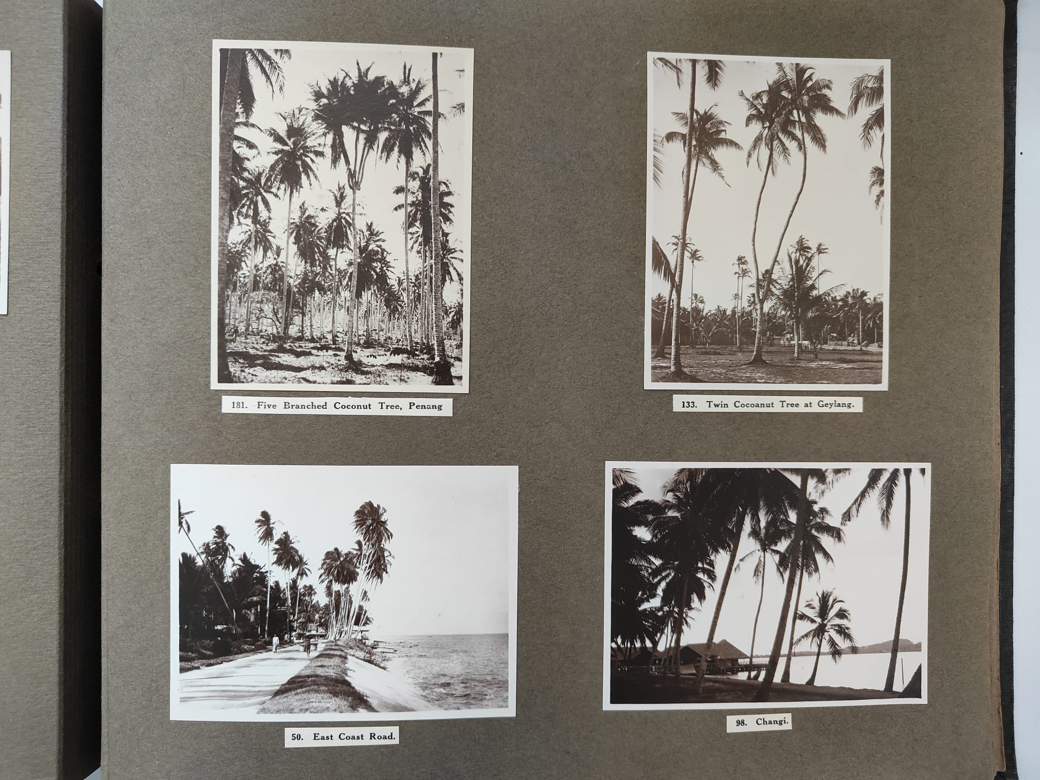 A 'SOUVENIR OF SINGAPORE' PHOTOGRAPH ALBUM - Image 23 of 47