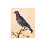 FREDERICK P. NODDER (1751-1800), THREE PRINTS OF BIRDS