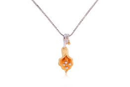 A GOLD PENDANT ON A SILVER CHAIN