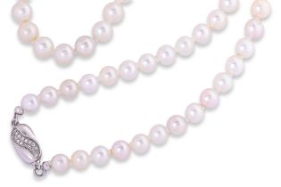 AN AKOYA CULTURED PEARL STRAND