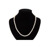 A CULTURED AKOYA PEARL NECKLACE BY TIFFANY & CO.