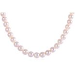 AN AKOYA CULTURED PEARL STRAND