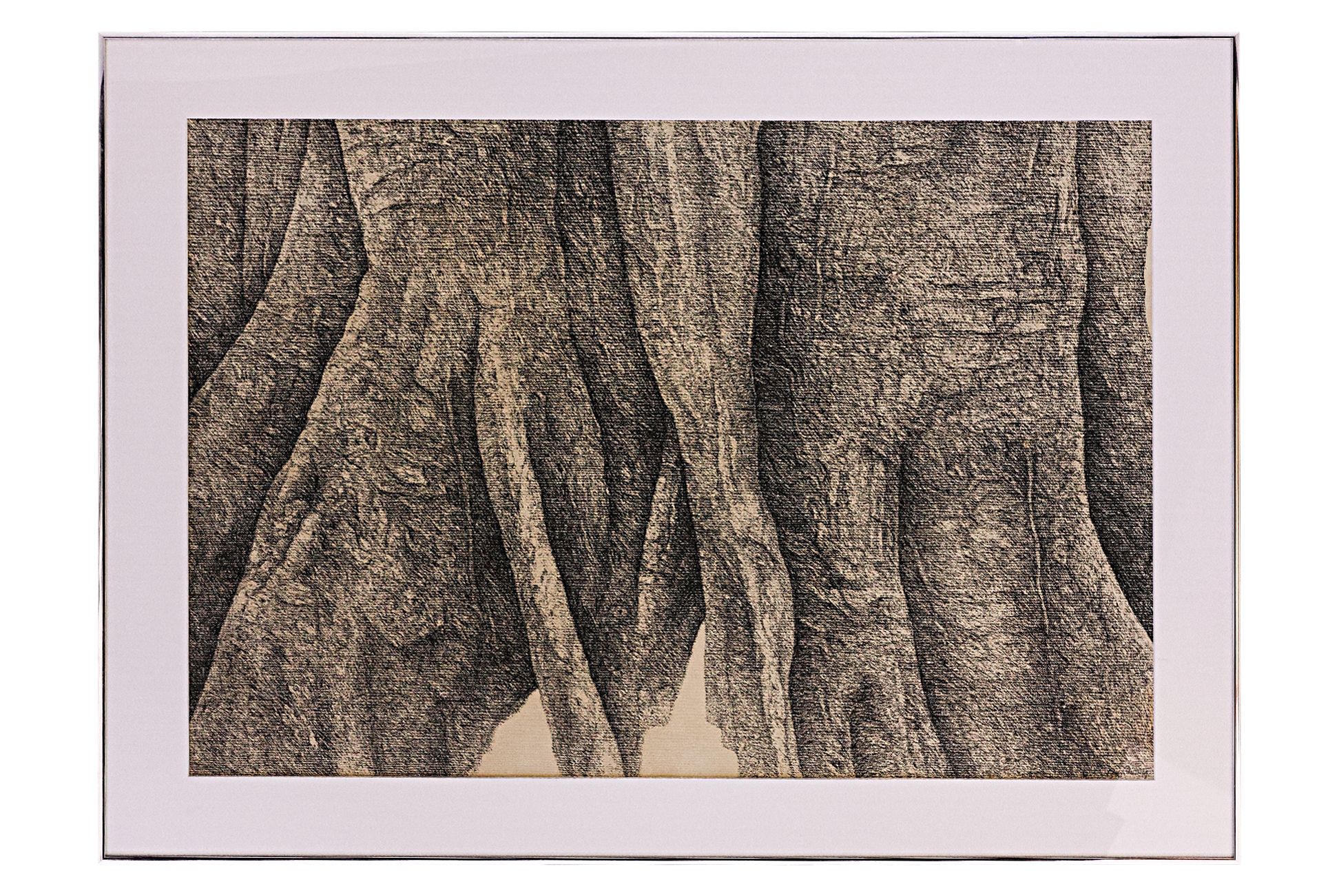 ARTIST UNKNOWN (XX-XXI) - TREE TRUNKS - Image 3 of 3