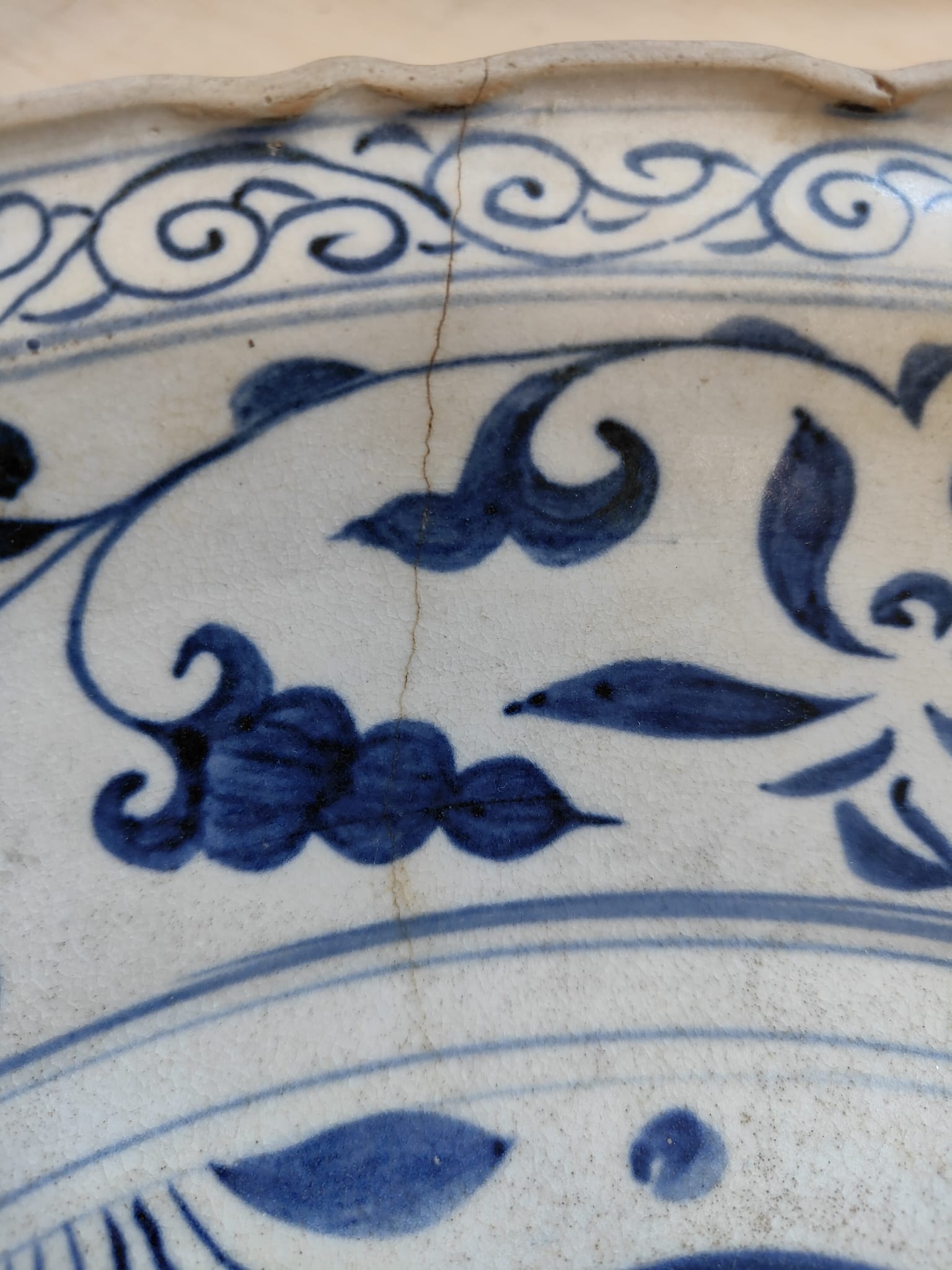A LARGE VIETNAMESE BLUE AND WHITE FISH DISH - Image 11 of 12