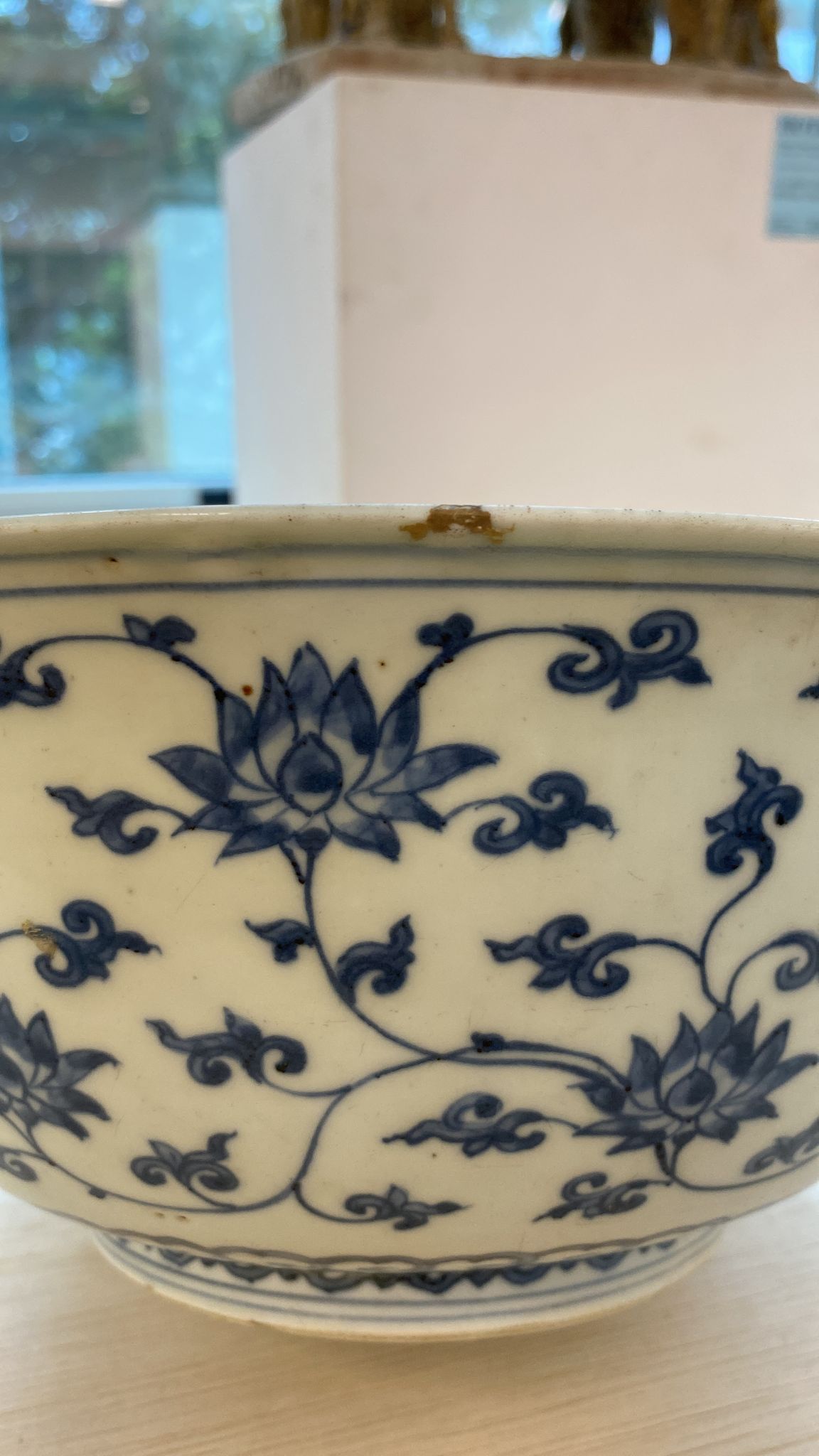 A LARGE BLUE AND WHITE LOTUS AND FRUIT BOWL - Image 16 of 17