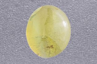 A CAT'S EYE CHRYSOBERYL LOOSE GEM