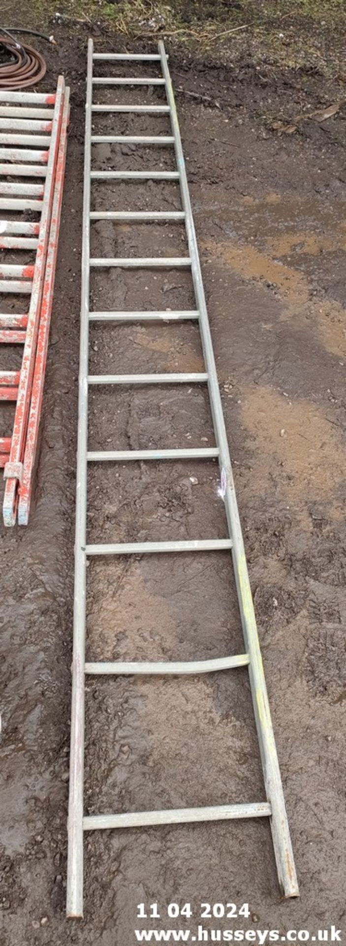 SINGLE LADDER