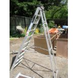 YOUNGMAN STEP LADDER