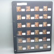 Stamps; a stocksheet of GB SG8 1d imperforated, plates 29 to 52