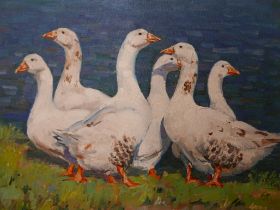 Malcolm Coward (b.1948), Gaggle of Geese, oil on canvas, signed lower right, 39 x 59cms, framed