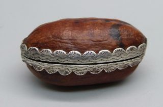 A Victorian silver mounted snuff box made from a nut, Birmingham 1888, Nathan & Hayes