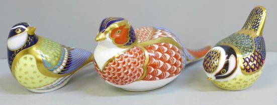 Three Royal Crown Derby bird paperweights, two smaller Blue Tits with gold stoppers