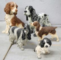 A Country Artists springer spaniel and four other model spaniels **PLEASE NOTE THIS LOT IS NOT