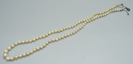 A Ciro pearl necklet with 9ct white gold clasp, 46.5cm