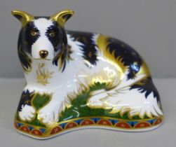 A Royal Crown Derby Border Collie paperweight, limited edition 459/2500, signed by Jane James with