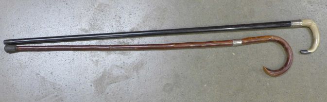 Two walking sticks with silver collars, one with horn handle