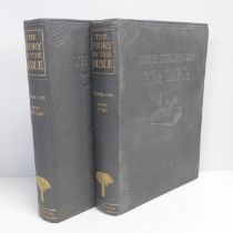 The Story of The Bible, Living Writers of Authority, The Fleetway House, circa 1930, two volumes