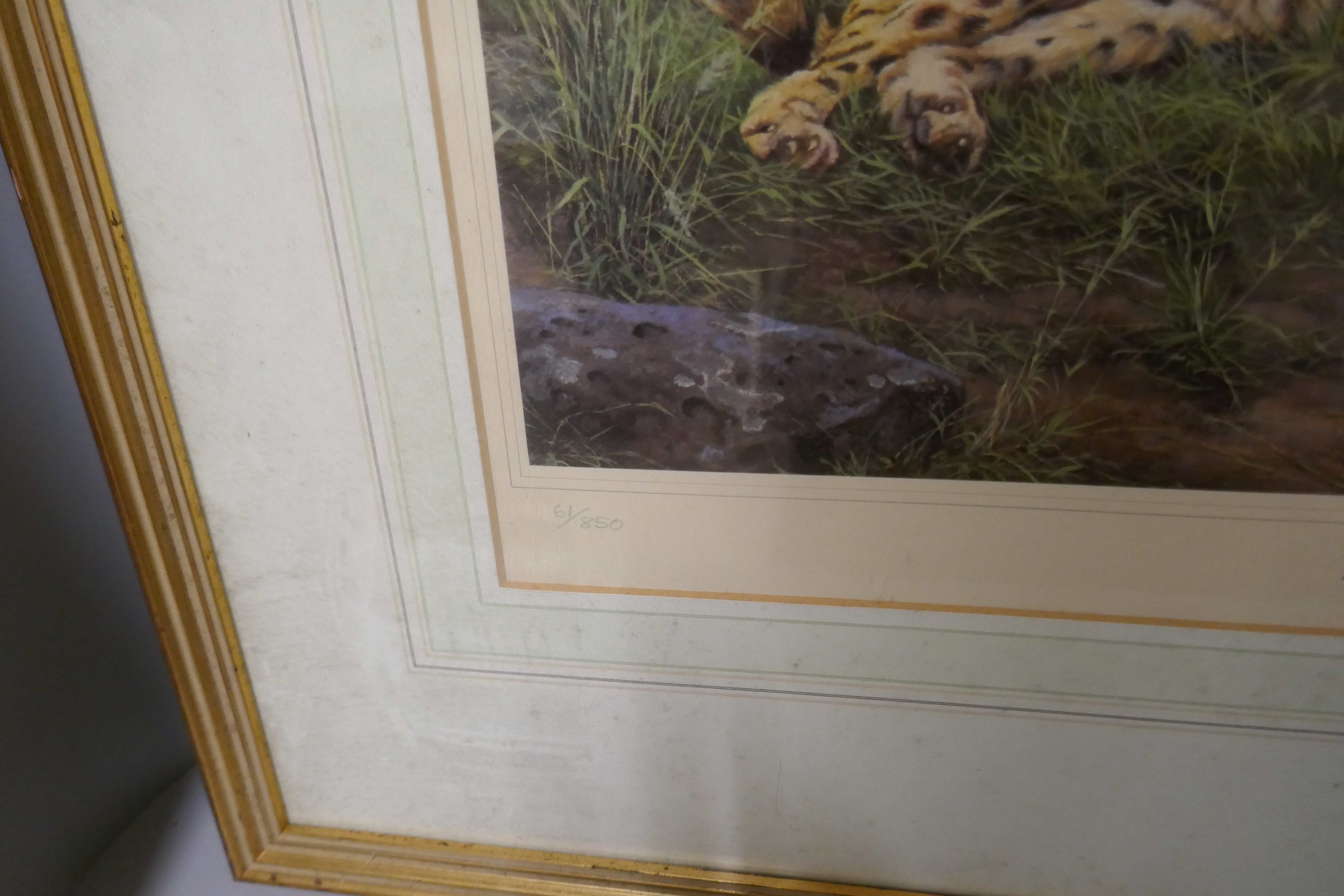 Two limited edition prints, Tiger and Cub, signed by the artist and Johnny Morris; a Distant - Image 6 of 6