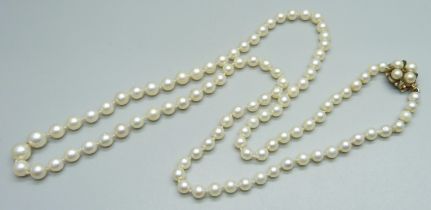 A string of cultured pearls with a 9ct gold clasp set with pearls and turquoise, 58cm