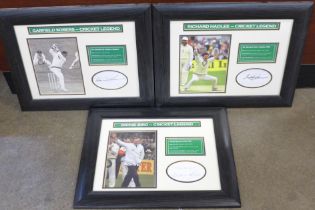 Three cricket autographed displays, Dickie Bird, Sir Garfield Sobers and Sir Richard Hadlee, framed