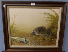 Nance, Hedgehog, oil on canvas