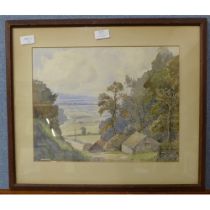 A framed watercolour, signed Stacey Blake