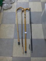 A collection of walking canes