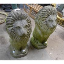 A pair of concrete garden lions