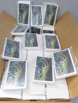 A box of 116 sets of John Player & Sons (Grandee) Britain's Nocturnal Wildlife 1987 complete and