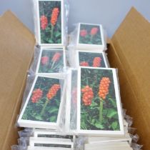 A box of 77 sets of John Player & Sons (Grandee) Britain's Wild Flowers 1986 complete and sealed