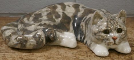 A large Winstanley cat, laying, 36cm