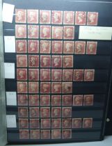 Stamps; Great Britain stock cards with a used assembly of 1d stars and 1880 1d Venetian red arranged