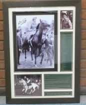 A large Lester Piggott picture display and personally signed