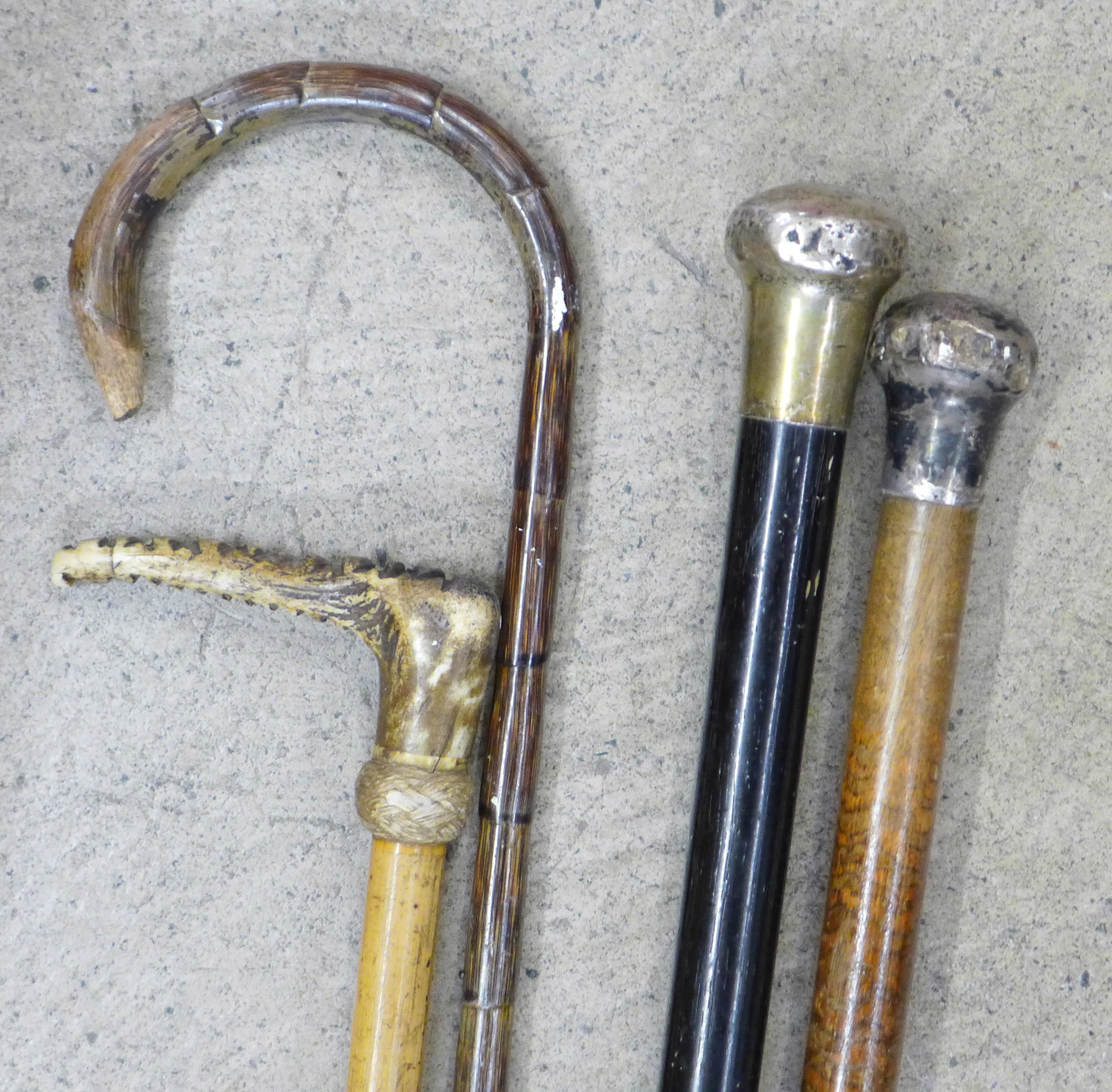 Two silver top walking cans, a riding crop and a bamboo walking stick - Bild 2 aus 5