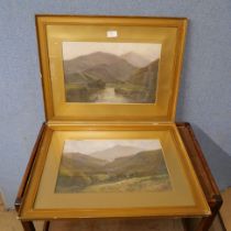A pair of Alfred De Brianski prints, framed