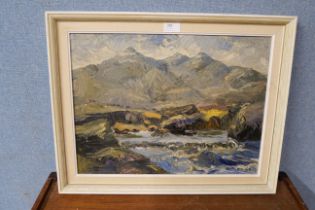 * Hedley, mountainous river scene, oil on board