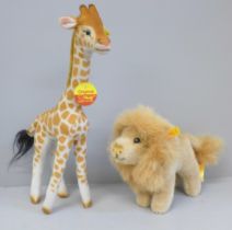 A Steiff giraffe and lion, buttons and labels intact