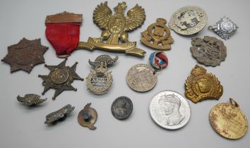 A collection of military badges, etc.