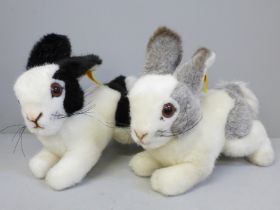 A Steiff baby grey and white rabbit and baby black and white rabbit, buttons to ears