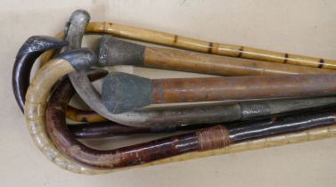 A selection of walking sticks and canes