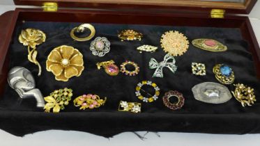 Twenty-one brooches in a display case