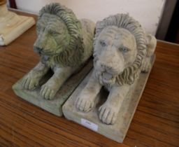 A pair of concrete lions