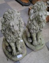 A pair of concrete garden figures of seated lions