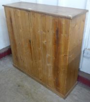 A Victorian pine two door cupboard