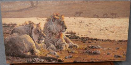 A signed S. May limited edition print of Lions, unframed