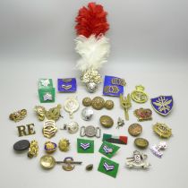 Military badges, buttons, a Fusiliers hackle etc.